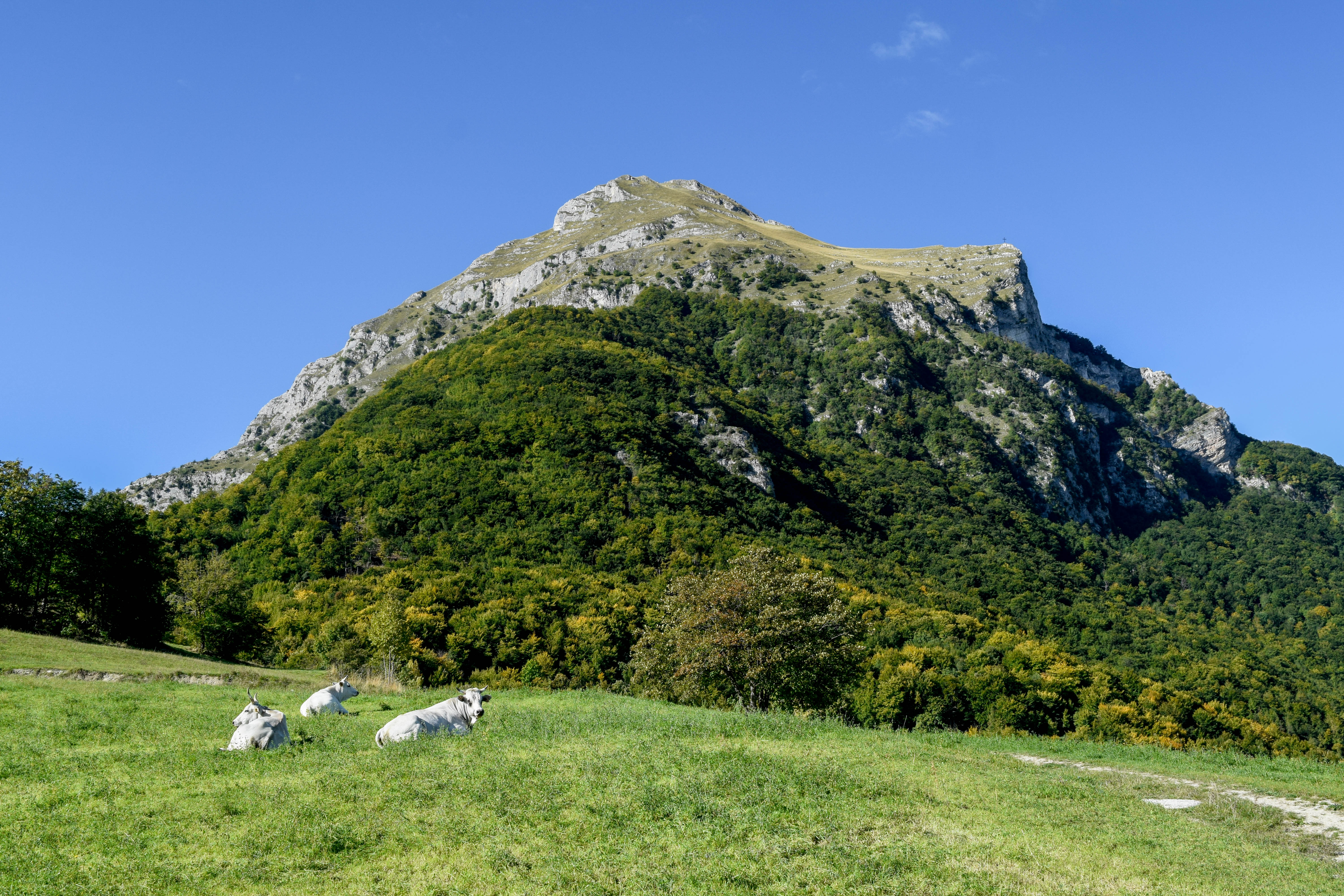 Punto panoramico -  verso Monte Pizzo