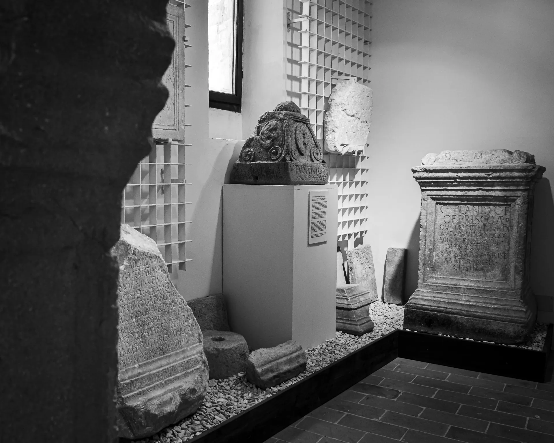 Museo archeologico e paleontologico