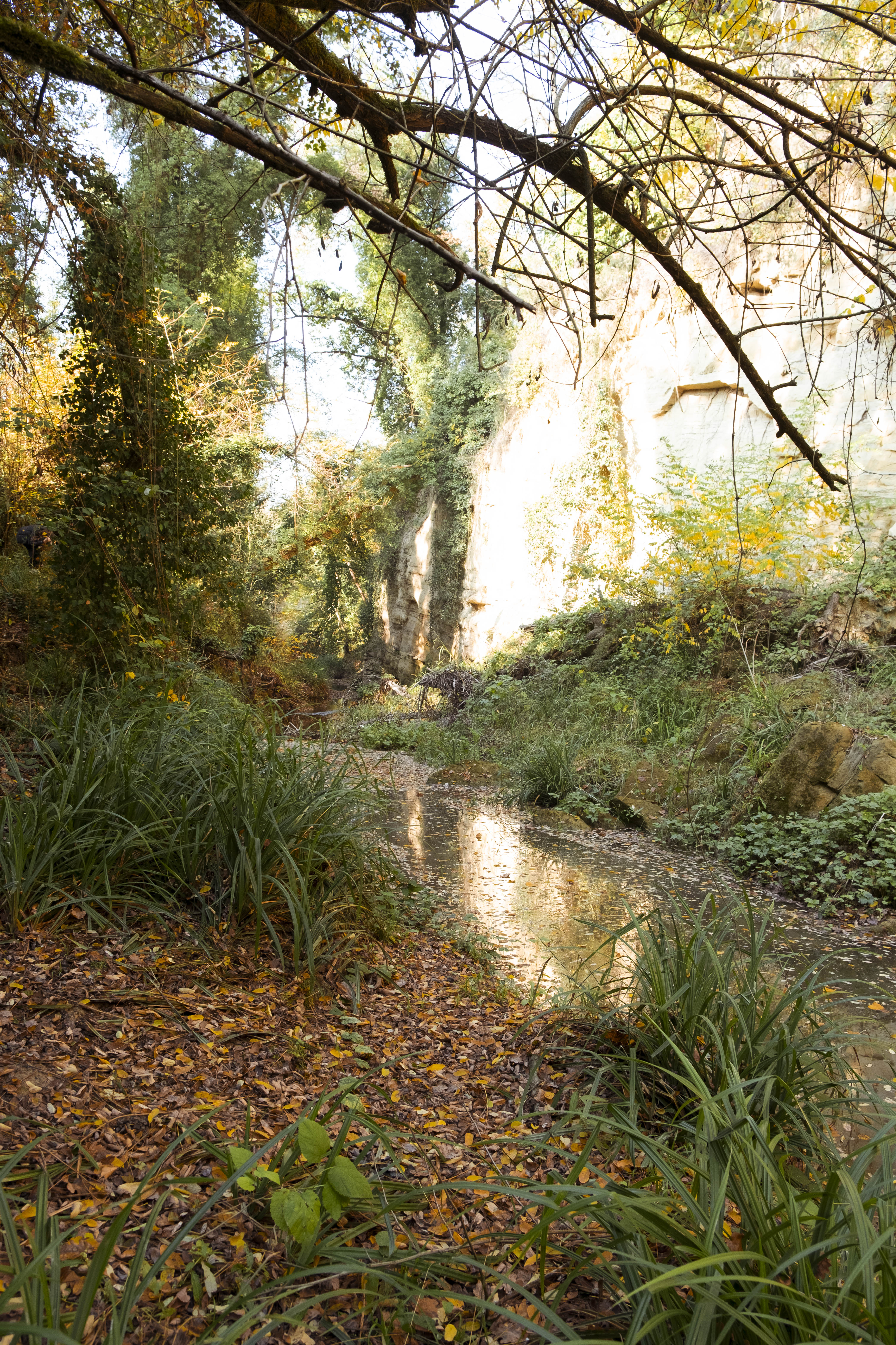 Torrente Tarucchio