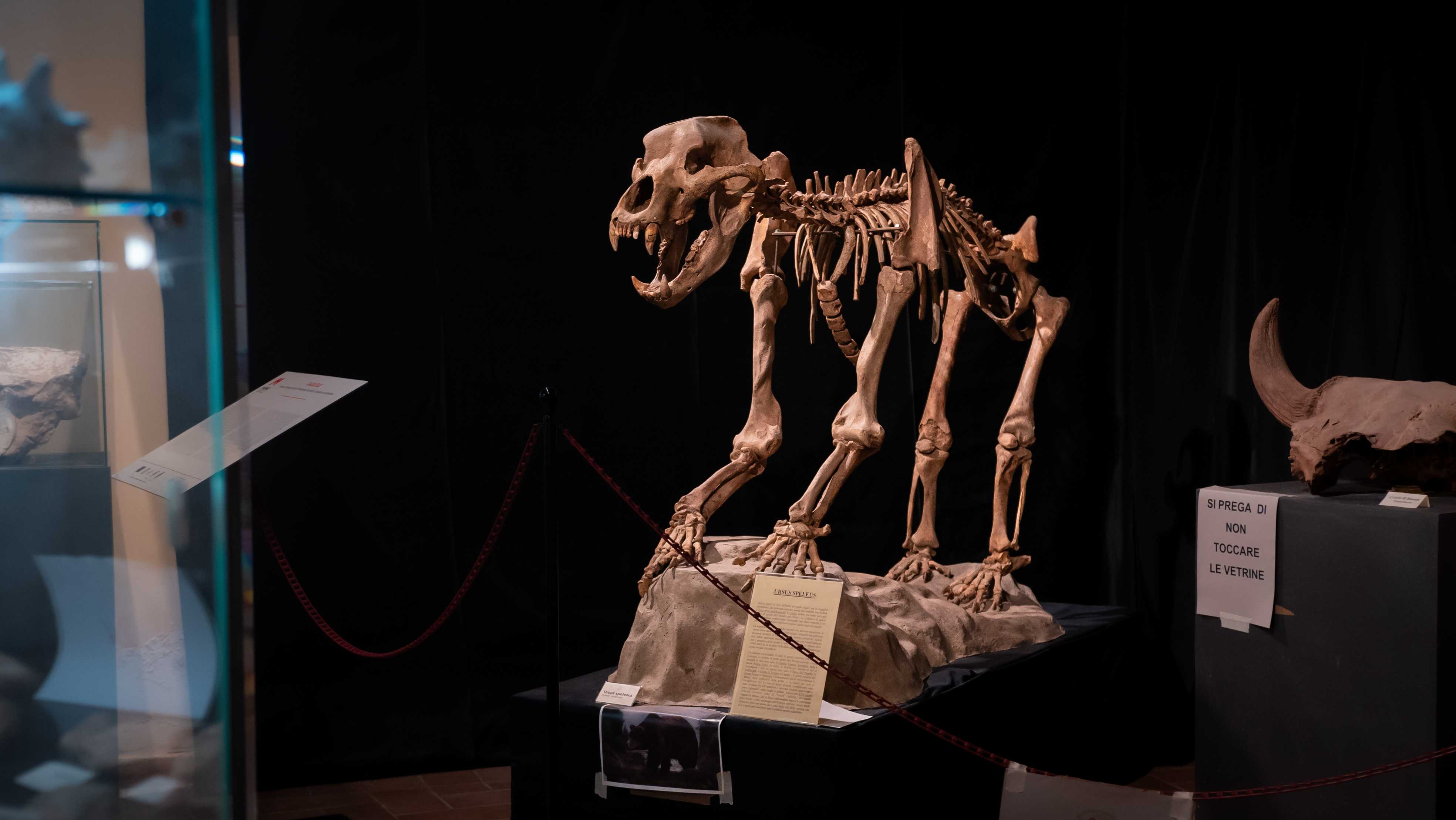 Museo di Storia Naturale