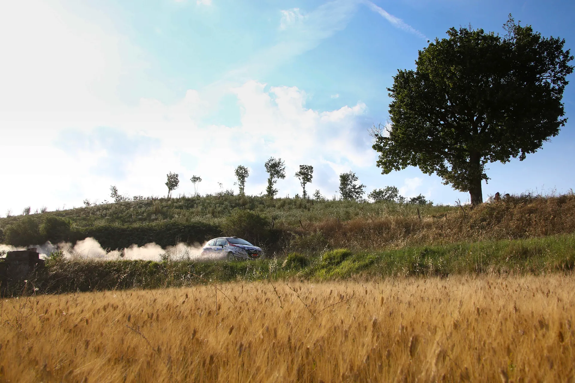 Campionato Italiano Rally di Terra