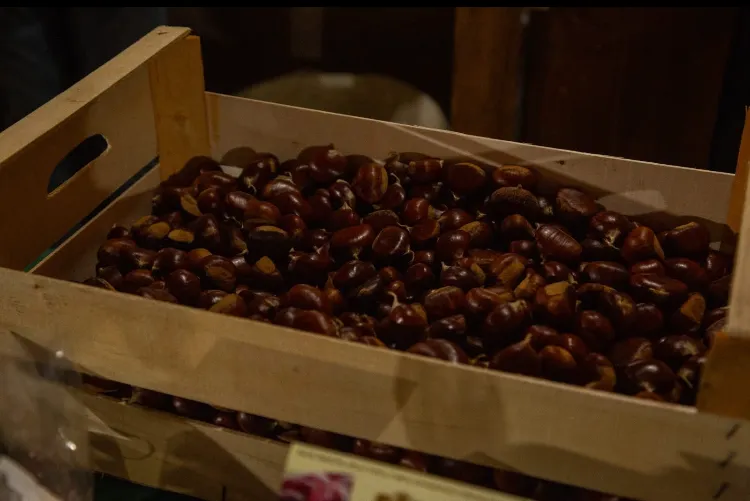 Event Image: Sagra del Marrone Castellano 