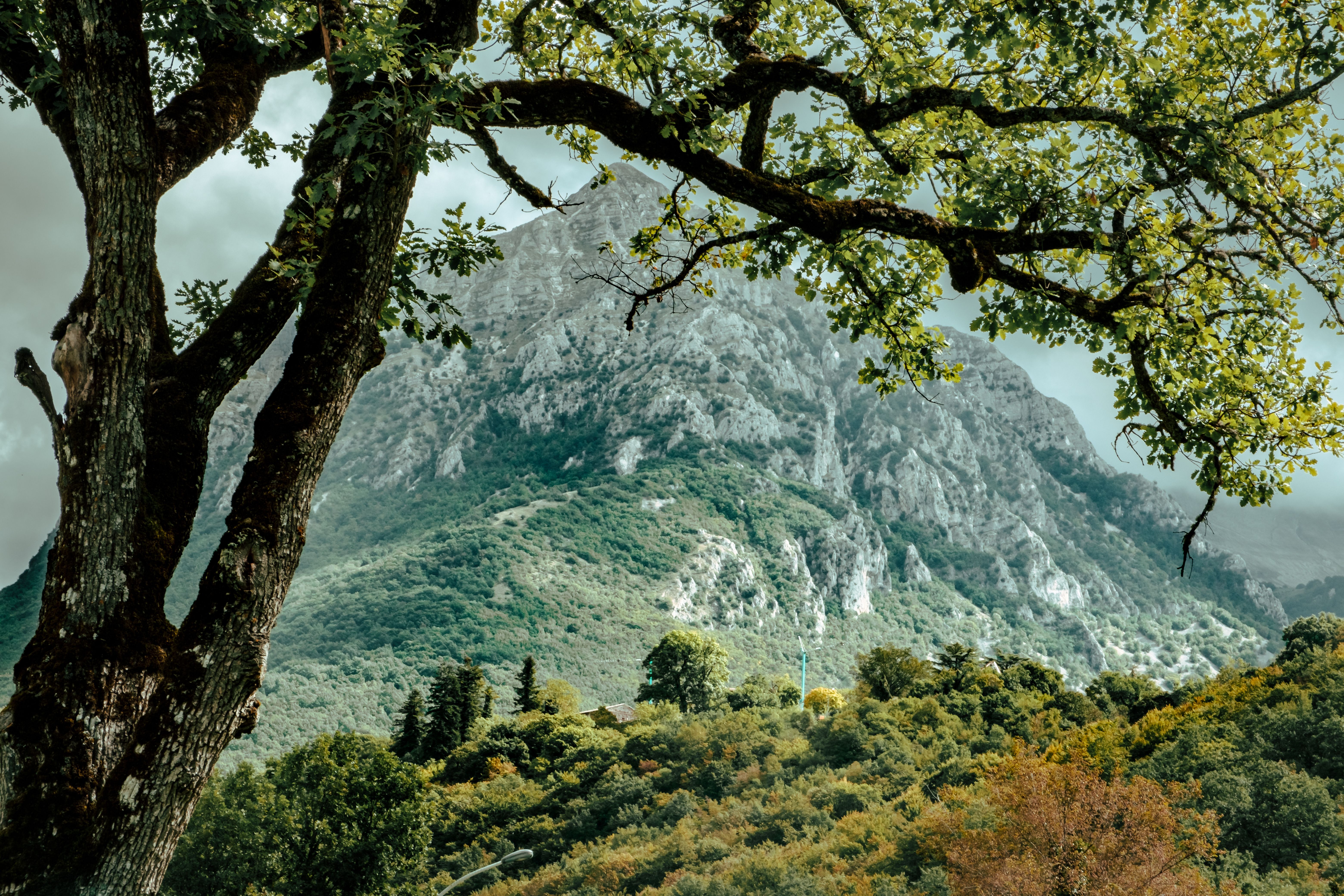 Sentiero escursionistico del Parco Nazionale dei Monti Sibillini - E8