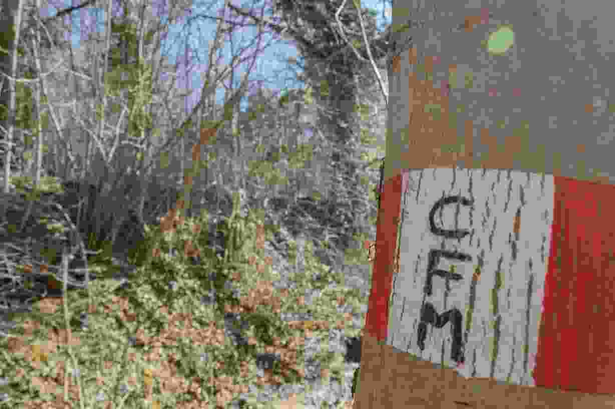 Tappa del Cammino Francescano della Marca (da Sarnano a Comunanza)